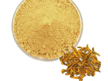 Does Berberine Interact with Inositol.png